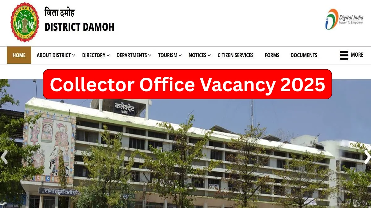 Collector Office Vacancy 2025: Golden Chance for Govt Job Seekers – Apply Fast!
